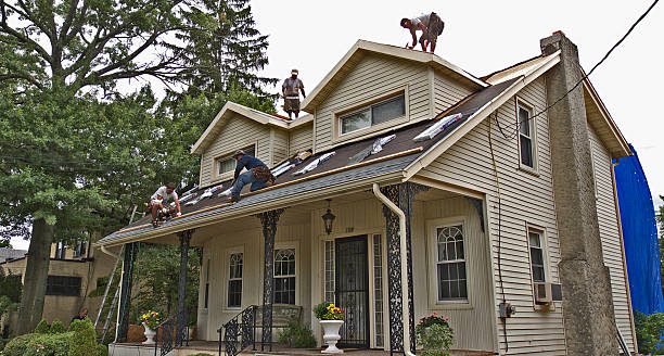 Professional Roofing Contractor in Peru, IL