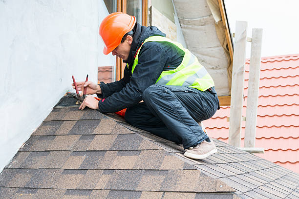Best Roof Gutter Cleaning  in Peru, IL